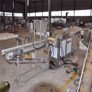 海苔油炸流水线 海苔油炸流水线